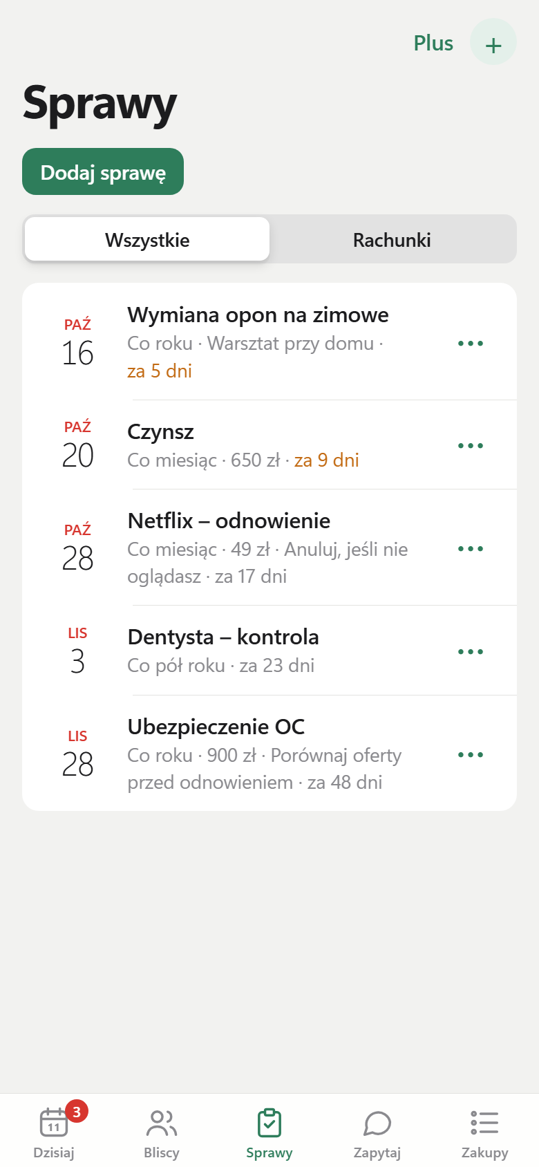 Lista spraw z terminami i kwotami